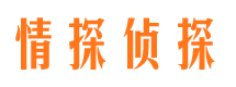 北塘市侦探公司